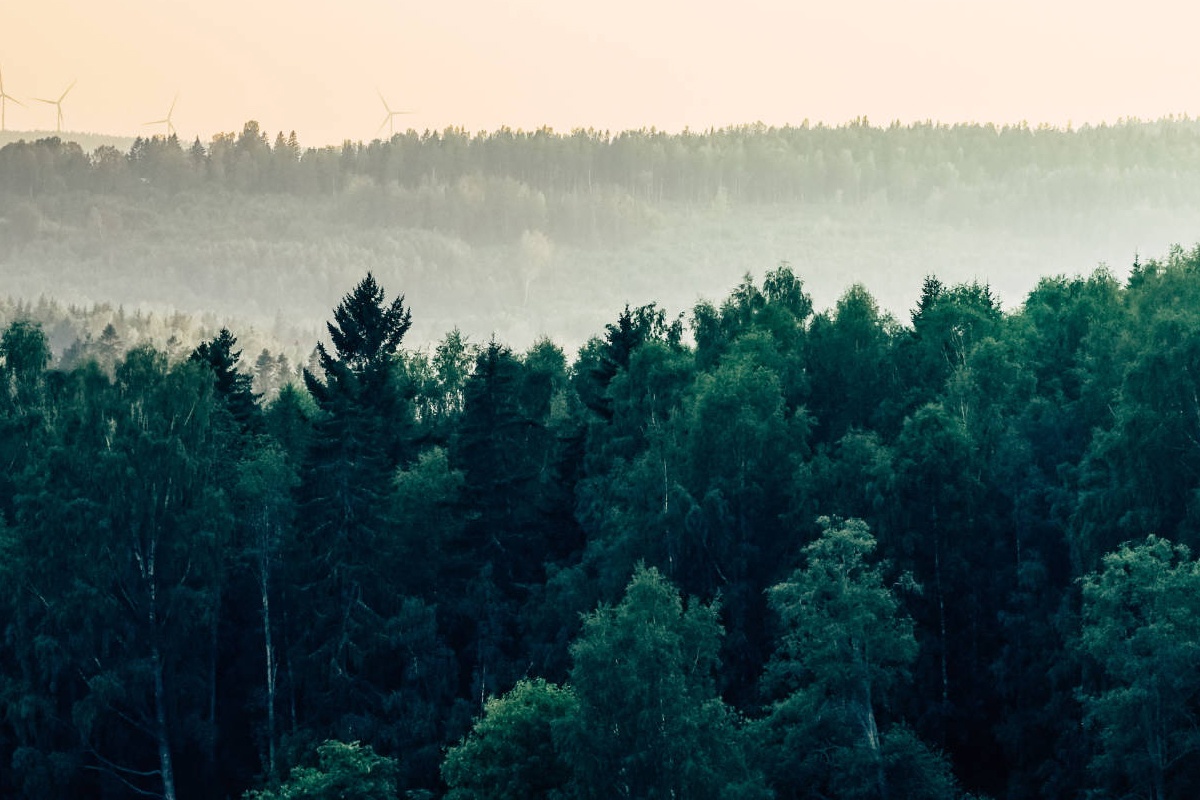 Om oss naturbild